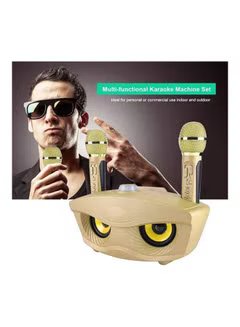 Portable Karaoke Machine Wireless tooth Speaker with 2 Mircophones Home Karaoke Support AUX TF Card U Disk sda85s4dac1 Gold